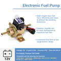 EP-500-0 035000-0460 universal 12V electric fuel pump gold finish